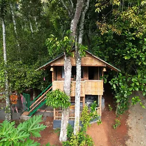 Maison d'hôtes Fab - Bamboo Hut With Open Shower