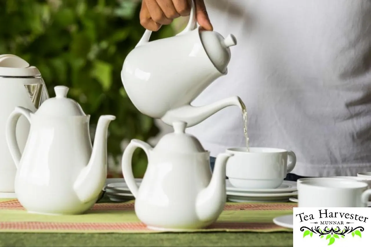 *** Курортный комплекс Tea Harvester Муннар Индия