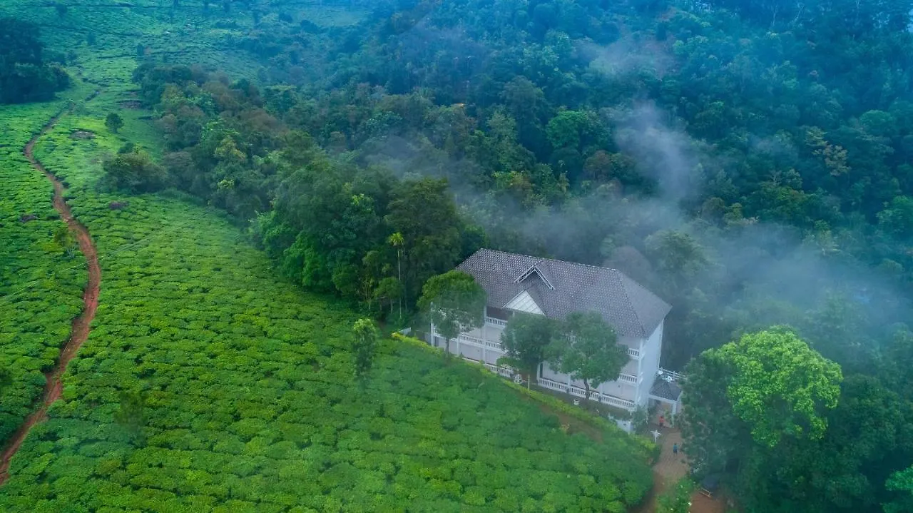 Tea Harvester Муннар