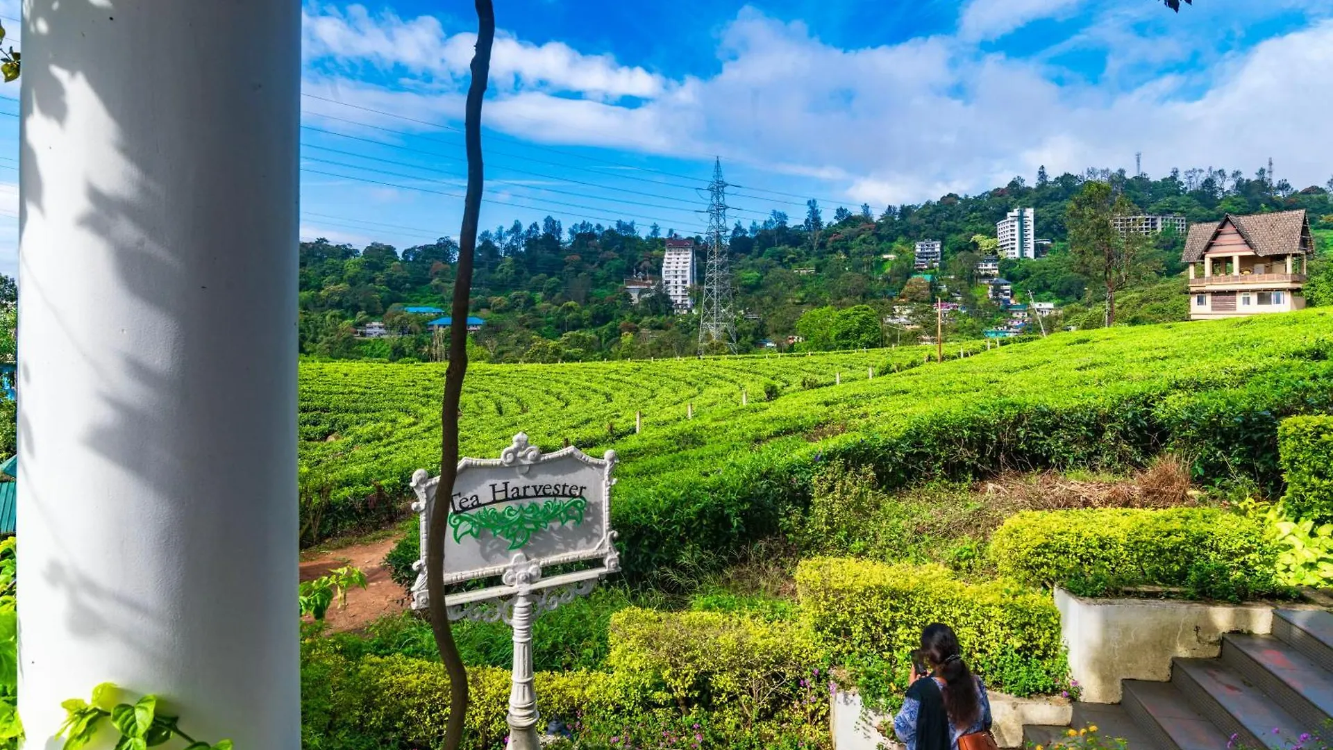 Tea Harvester Munnar 3*,  India