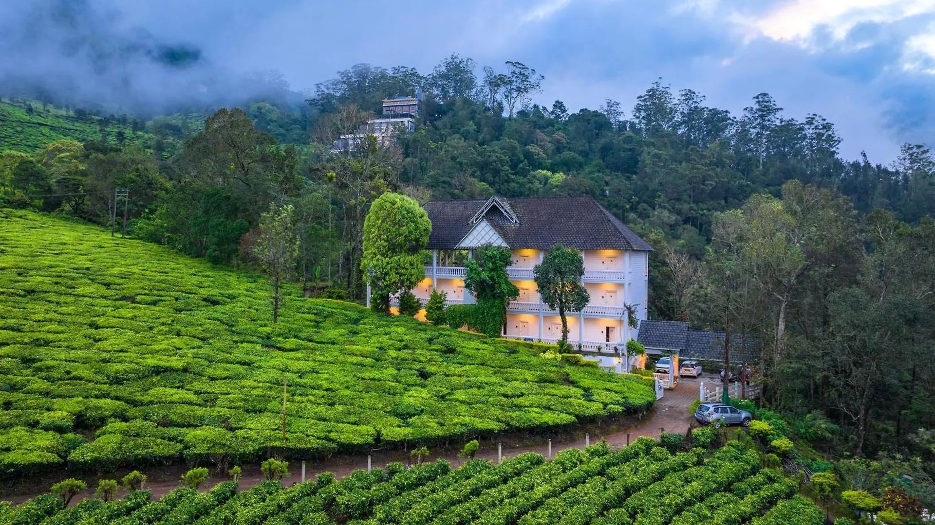 Tea Harvester Munnar 3*,  India