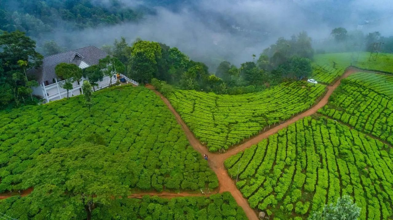 Tea Harvester Munnar India